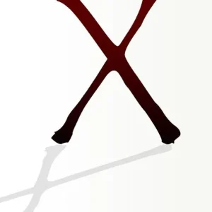 X : dikter | 0:e upplagan Erbjudande