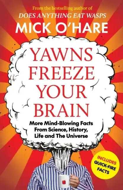 Yawns Freeze Your Brain | 0:e upplagan Snabb frakt