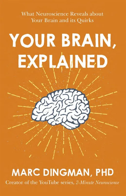 Bästa pris Your Brain, Explained | 0:e upplagan