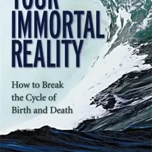 Kampanjpris Your immortal reality | 0:e upplagan