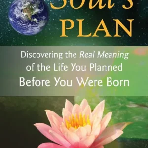 Your Soul's Plan | 0:e upplagan Kundfavorit