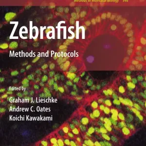Zebrafish | 1:a upplagan Rabatter