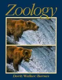 Zoology | 0:e upplagan Expressleverans