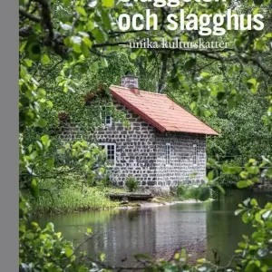 Slaggsten och slagghus - unika kulturskatter | 1:a upplagan Erbjudande