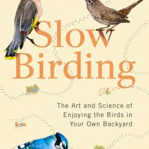 Fynd Slow Birding | 0:e upplagan