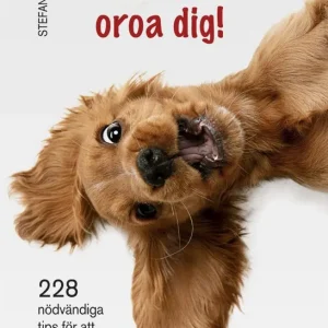 Trygg betalning Sluta oroa dig | 0:e upplagan