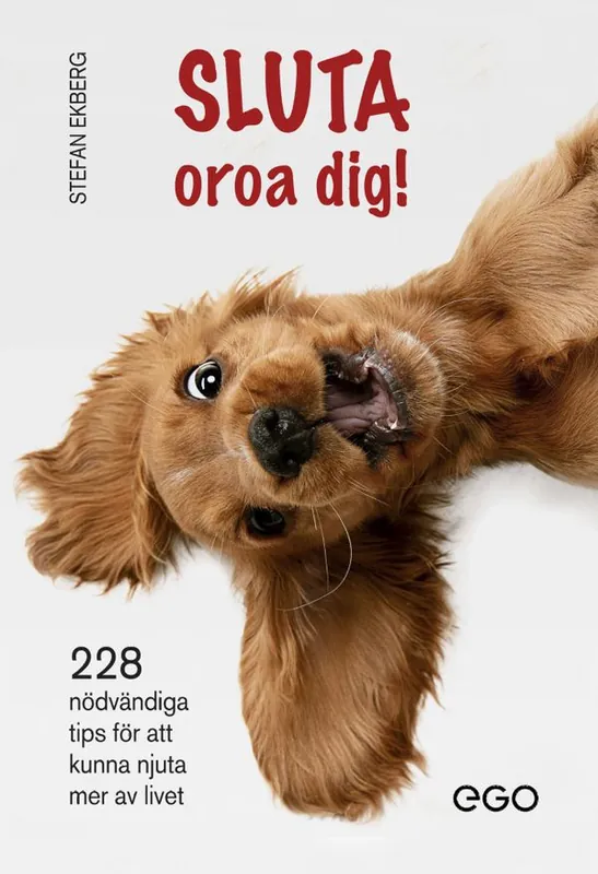 Trygg betalning Sluta oroa dig | 0:e upplagan