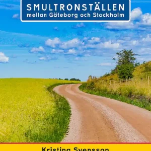 Trygg betalning Smultronställen mellan Göteborg och Stockholm - avstickare längs väg 40 och E4 | 1:a upplagan