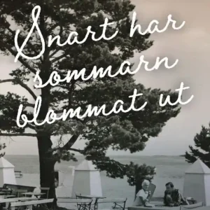 Snart har sommarn blommat ut | 0:e upplagan Utförsäljning