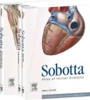 Beställ nu Sobotta Atlas of Human Anatomy + E-sobotta Access | 15:e upplagan