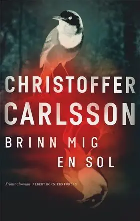 Sänkt pris Brinn mig en sol | 0:e upplagan