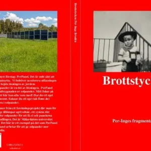 Bästa pris Brottstycken | 0:e upplagan
