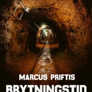 Brytningstid : Hur gruvan blev en ödesfråga | 1:a upplagan Trygg betalning