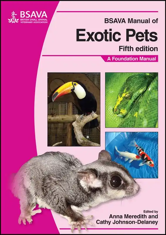 Lägg i varukorgen BSAVA Manual of Exotic Pets: A Foundation Manual | 1:a upplagan