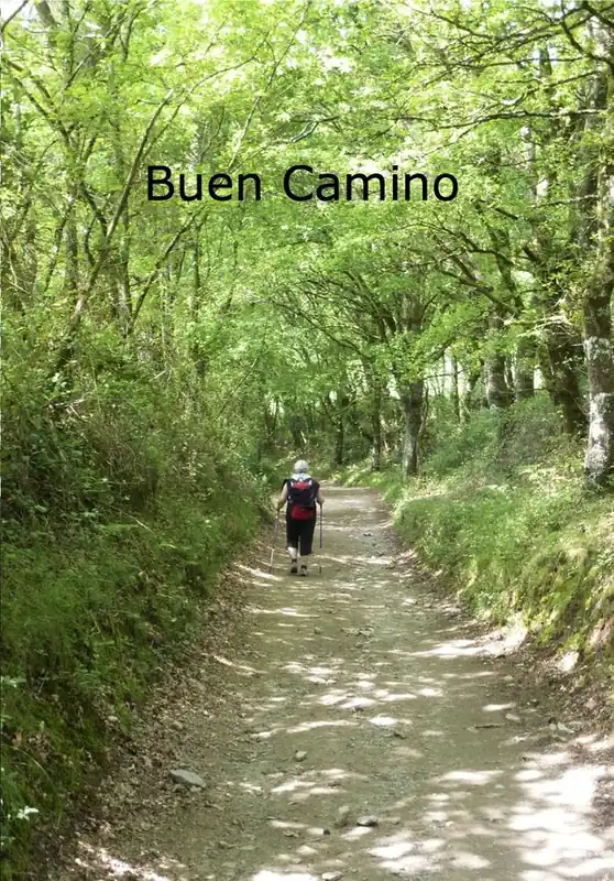 Säker betalning Buen Camino | 1:a upplagan