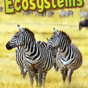 Bug Club Independent Non Fiction Year Two Lime Plus A Ecosystems | 0:e upplagan Handla nu