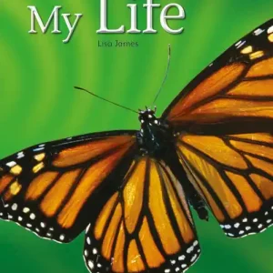 Bug Club NF Yellow C/1C My Life | 0:e upplagan Nyhet