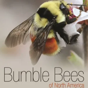 Populärt val Bumble Bees of North America | 0:e upplagan