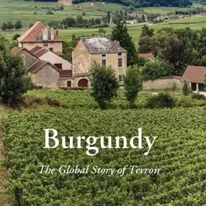 Burgundy | 0:e upplagan Sänkt pris