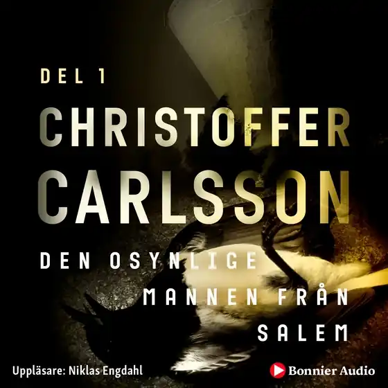 Säker betalning Den osynlige mannen från Salem (ljudbok) av Christoffer Carlsson
