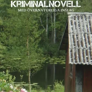 Arvet från Amerika– kriminalnovell med övernaturliga inslag (e-bok) av Christina Gustavson Billigare
