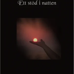 Ett stöd i natten (e-bok) av Jan Edelholt Snabb frakt