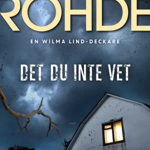 Det du inte vet (e-bok) av Hanne Kristin Rohde Reapris
