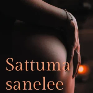 Billigare Sattuma sanelee kohtalon: Aikuisten leikit (e-bok) av Lady Damén