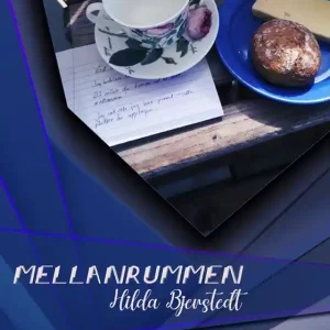 Mellanrummen (e-bok) av Hilda Bjerstedt Nyhet