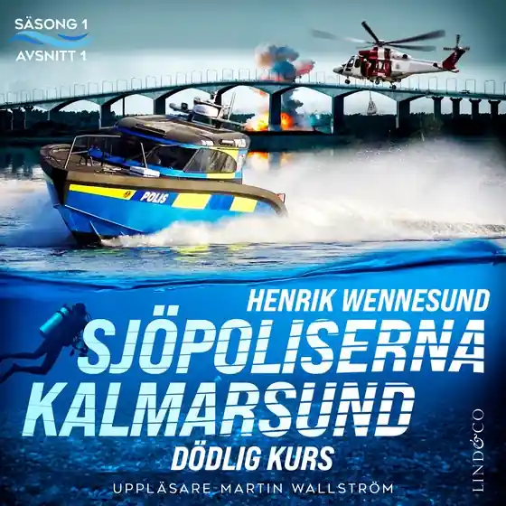 Trygg betalning Dödlig kurs (ljudbok) av Henrik Wennesund