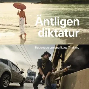 Premium Äntligen diktatur (e-bok) av Mattias Sköld