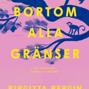 Outlet Bortom alla gränser (e-bok) av Birgitta Bergin