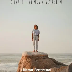 Kampanj Stopp Längs Vägen: Sverige (e-bok) av Lillemor Pettersson