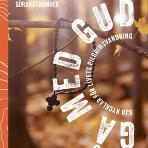 Gå med Gud : sju nycklar för livets pilgrimsvandring (e-bok) av Göran Strömner Billigare