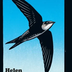 Aftonflykter (e-bok) av Helen Macdonald Handla nu