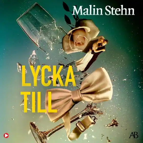 Lycka till (ljudbok) av Malin Stehn Lågt pris