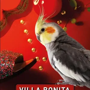 Billigare Villa Bonita (e-bok) av Karin Brunk Holmqvist