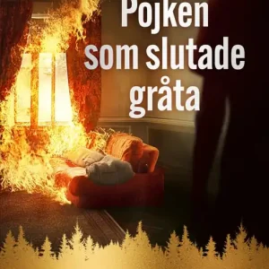 Begränsat antal Pojken som slutade gråta (e-bok) av Ninni Schulman