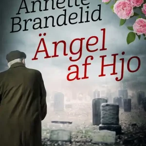 Ängel af Hjo (e-bok) av Annette Brandelid Nedsatt pris