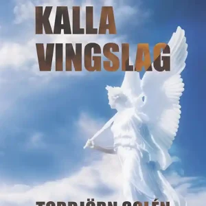 Kalla vingslag (e-bok) av Torbjörn Solén Kampanjpris