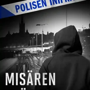 Misären i gänglivet (e-bok) av Åsa Erlandsson Beställ idag