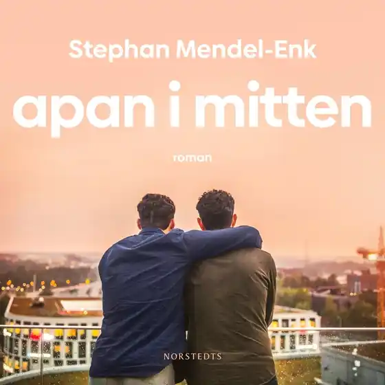 Apan i mitten (ljudbok) av Stephan Mendel-Enk Kundfavorit