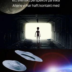 Rabatt Ufologi II: ett svenskt perspektiv på vilka Aliens vi har haft kontakt med (e-bok) av Helene Carlind