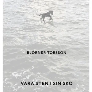 Vara sten i sin sko (e-bok) av Björner Torsson Lägg i varukorgen
