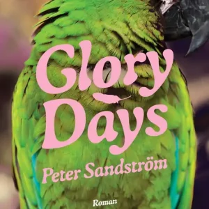 Snabb frakt Glory Days (e-bok) av Peter Sandström