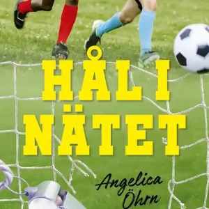 Hål i nätet (e-bok) av Angelica Öhrn Utförsäljning