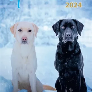 Erbjudande Opaskoira 2024 (e-bok) av Susanna Kovasin