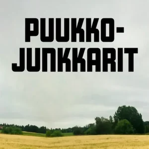 I lager Puukkojunkkarit (e-bok) av Santeri Alkio