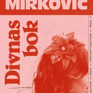 Sista chansen Divnas bok (e-bok) av Karoline Mirkovic