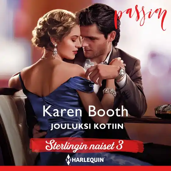 Fynd Jouluksi kotiin (ljudbok) av Karen Booth